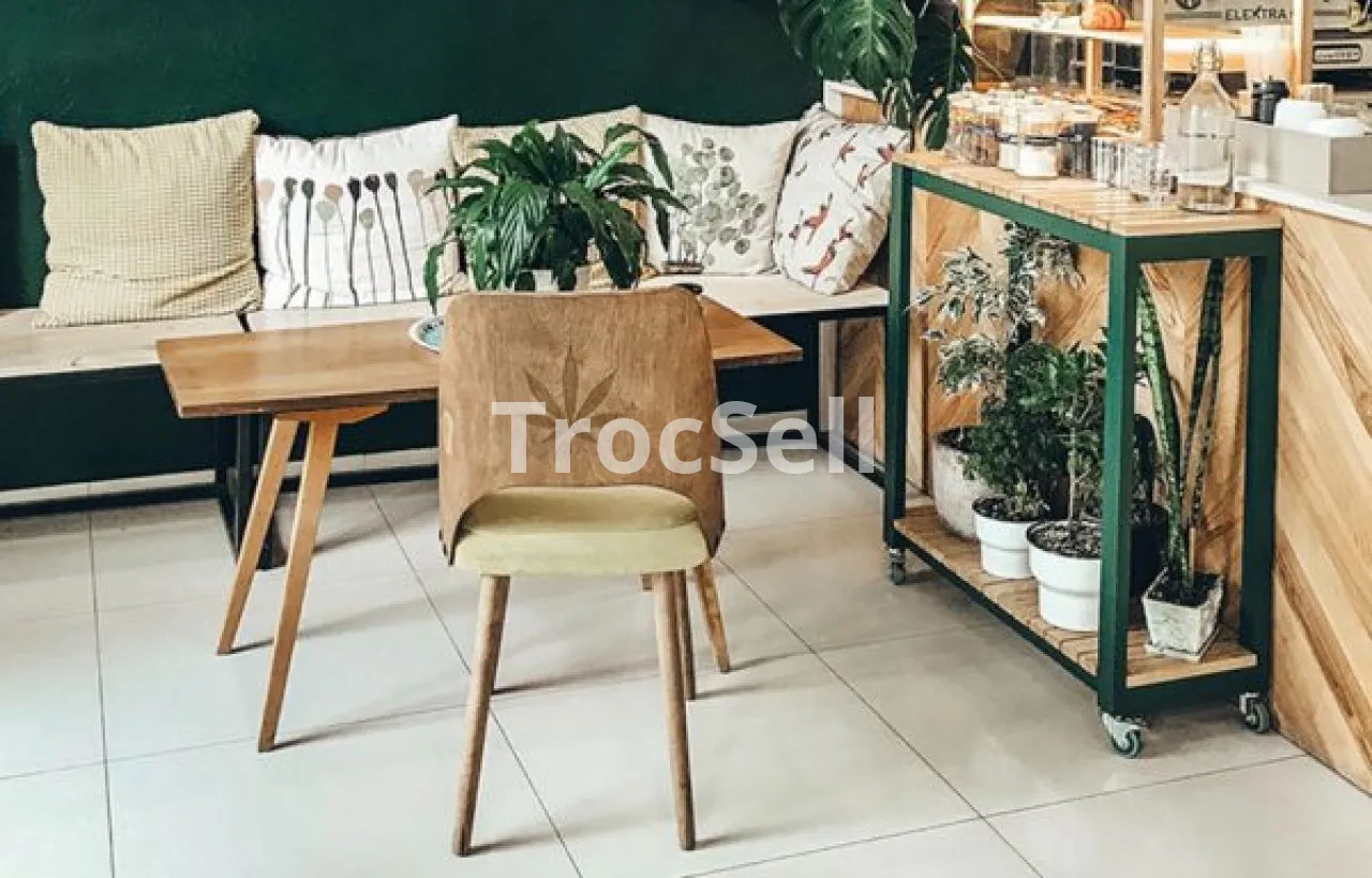 Creating a Balanced Home: A Guide to Interior Decor for Peace and Tranquility