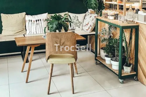 Creating a Balanced Home: A Guide to Interior Decor for Peace and Tranquility