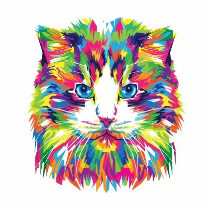 Vectors